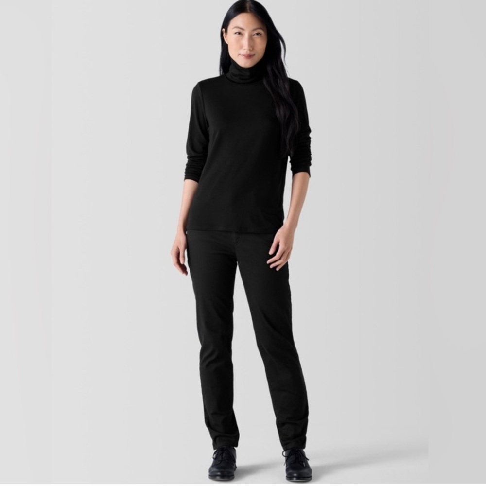 NWT Eileen Fisher Sheer Knit Turtleneck Top - Picture 2 of 5